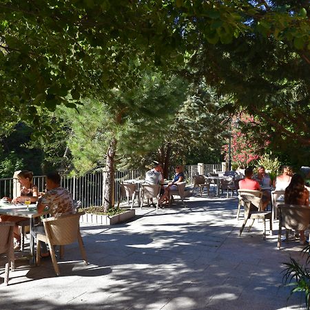 Les Jardins De La Glaciere Corte  Exteriér fotografie